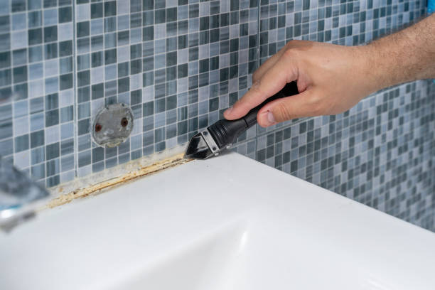 Mold Removal and Inspection in Flowing Wells, AZ