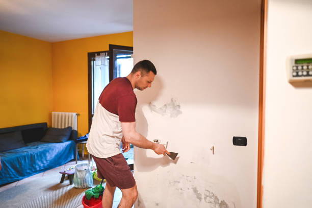 Best Mold Removal Process  in Flowing Wells, AZ